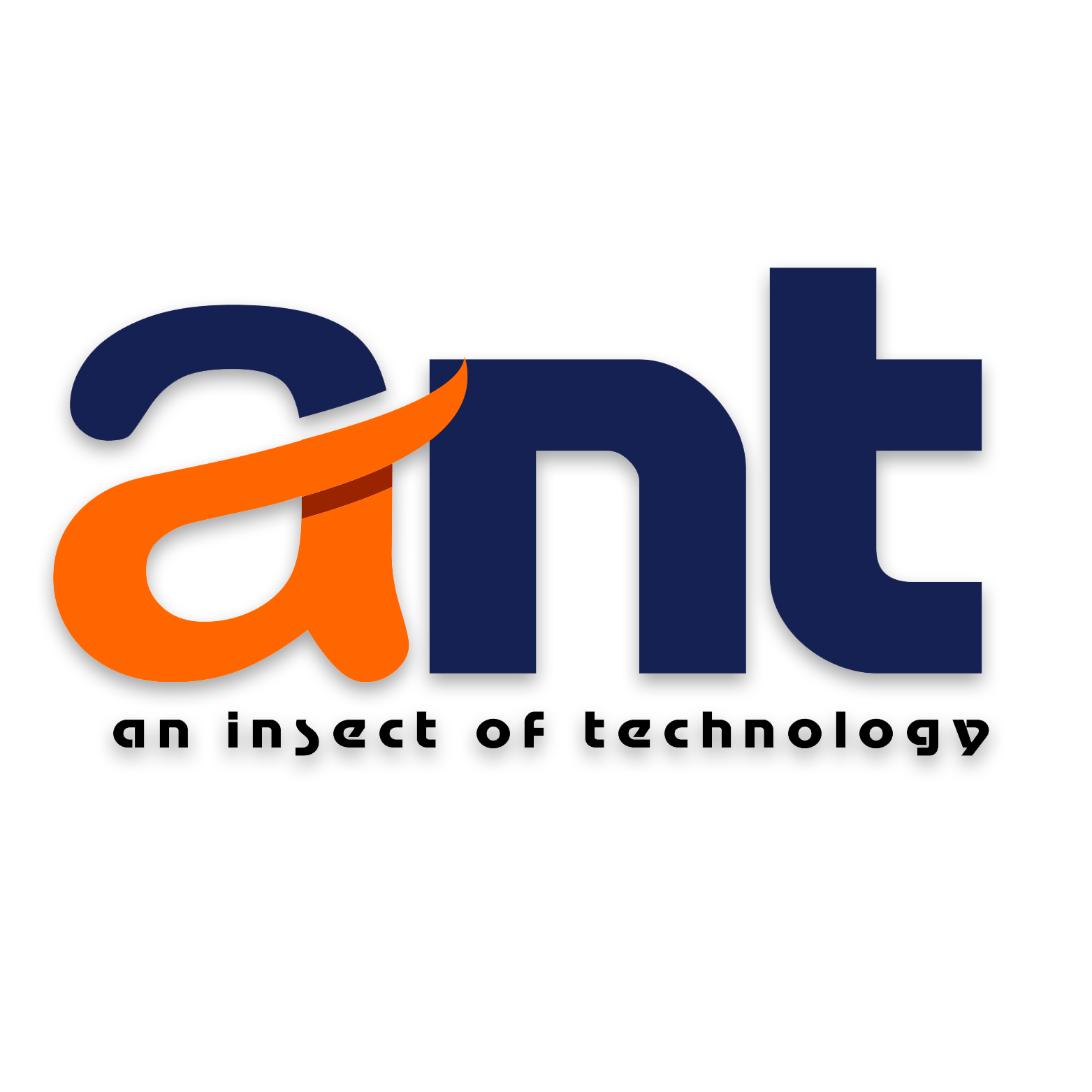 ANT COMPUTER